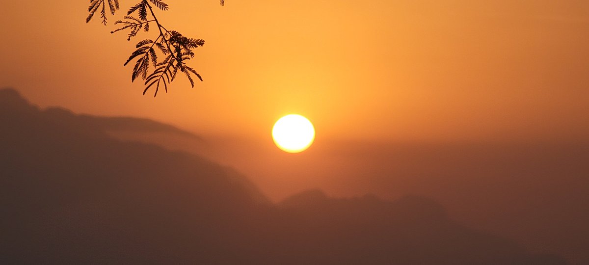 يقولون إنَّ الهوى مَسكنٌ..
وما دروا أنَّ الهوى غُربة،
فليسَ كلُّ مَن سكنَ القلبَ جاراً،
وليسَ كلُّ مَن رحلَ عن العَينِ.. غاب