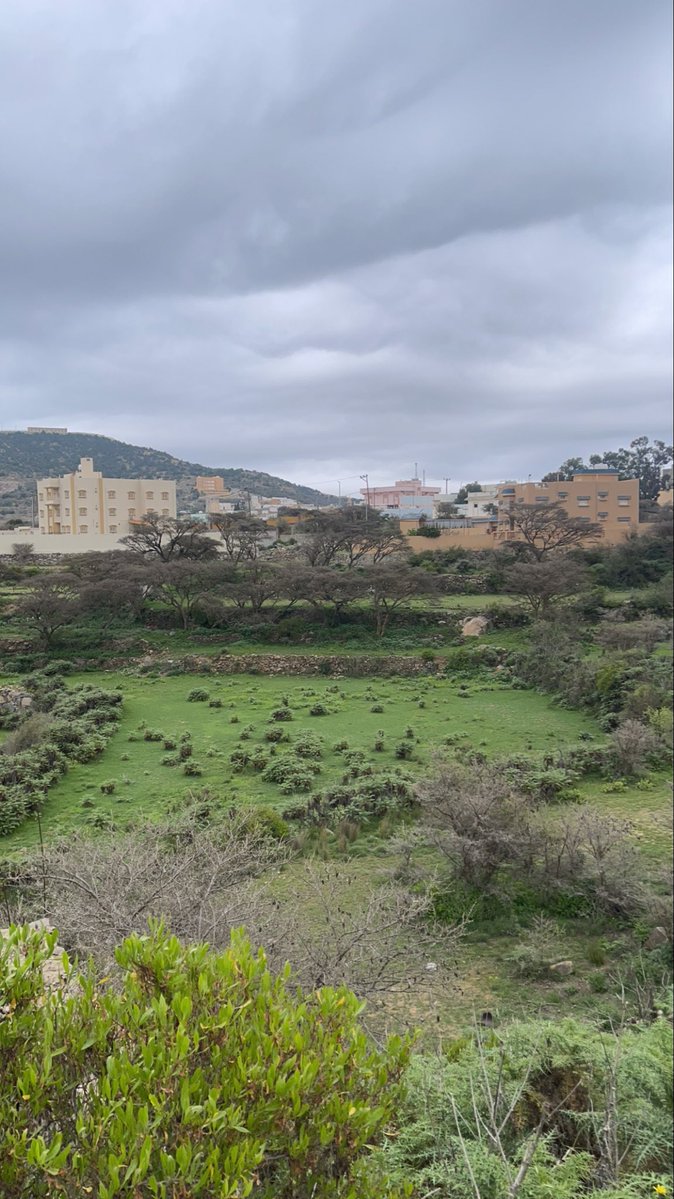 Mohammed tweet media