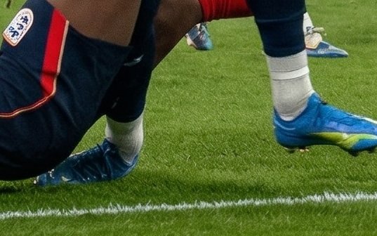 Palestra News tweet media