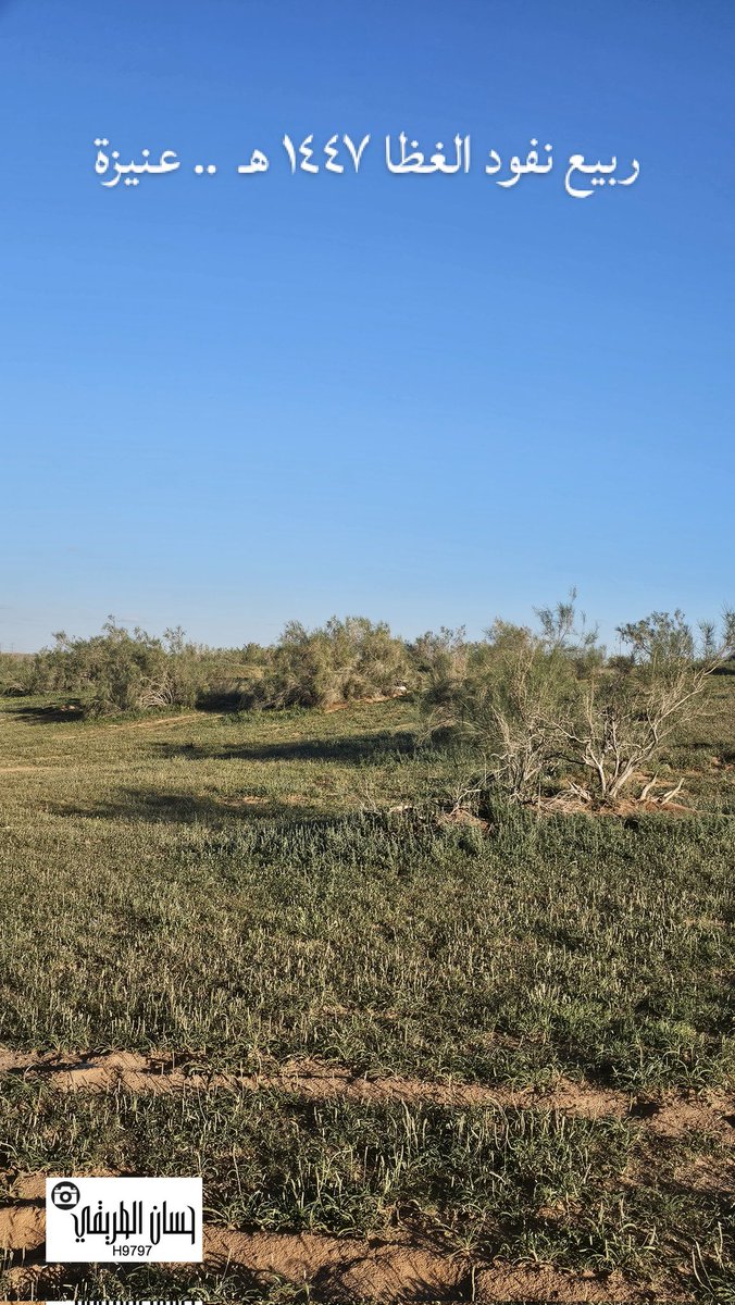 حسان الطريقي tweet media