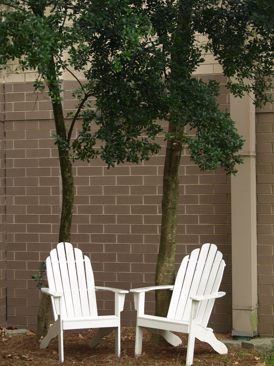 Siegel Digital Arts & Design Program tweet media