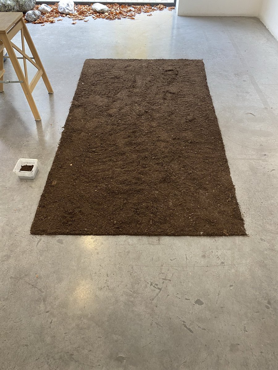 Exposition temporaire « Traversée » de Anne Laura H-Blanc, l’expression d’un retour à la nature comme moyen de se sentir bien et d’être attentif aux petites choses de la vie afin de changer son regard sur le monde !