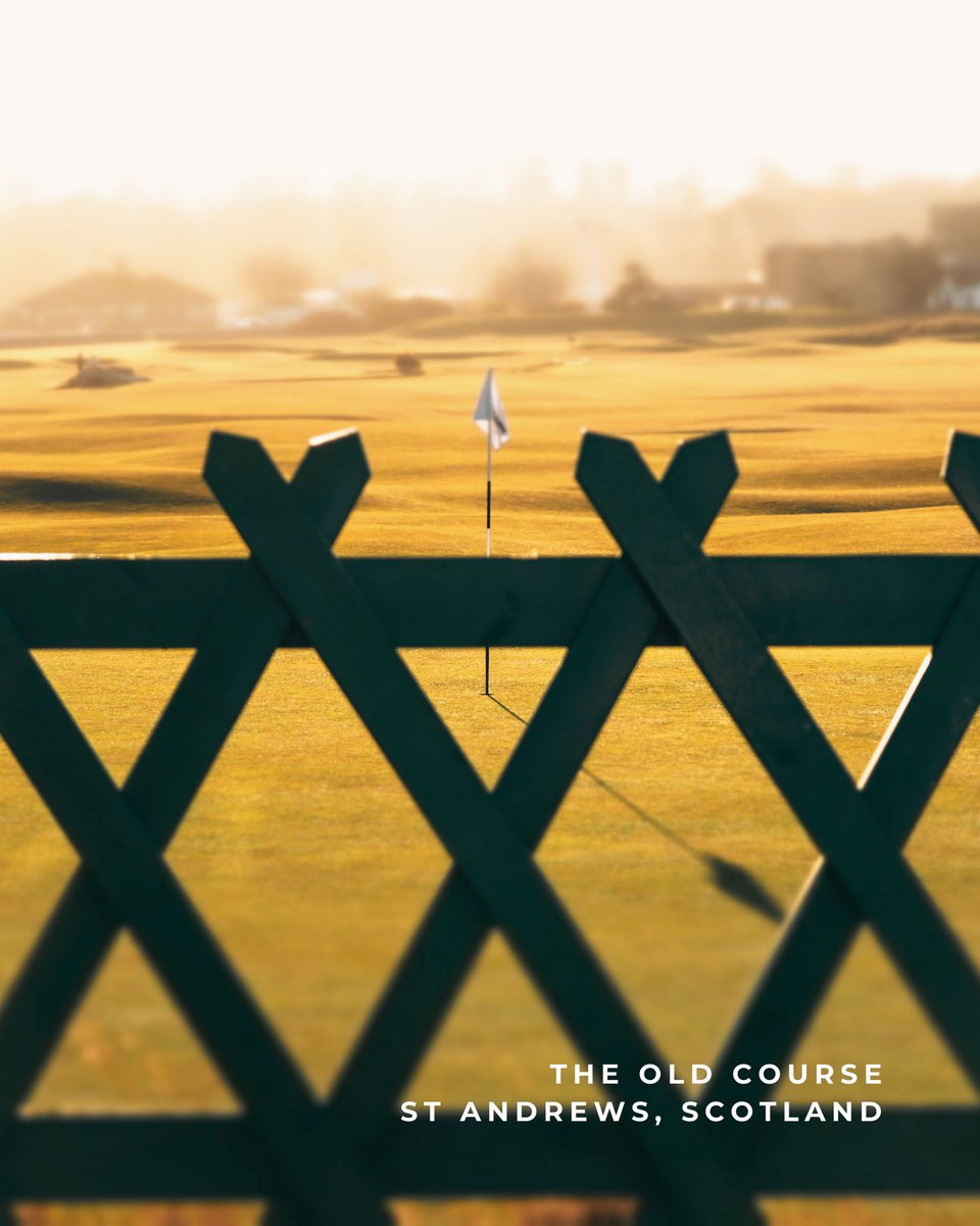 BestBall tweet media