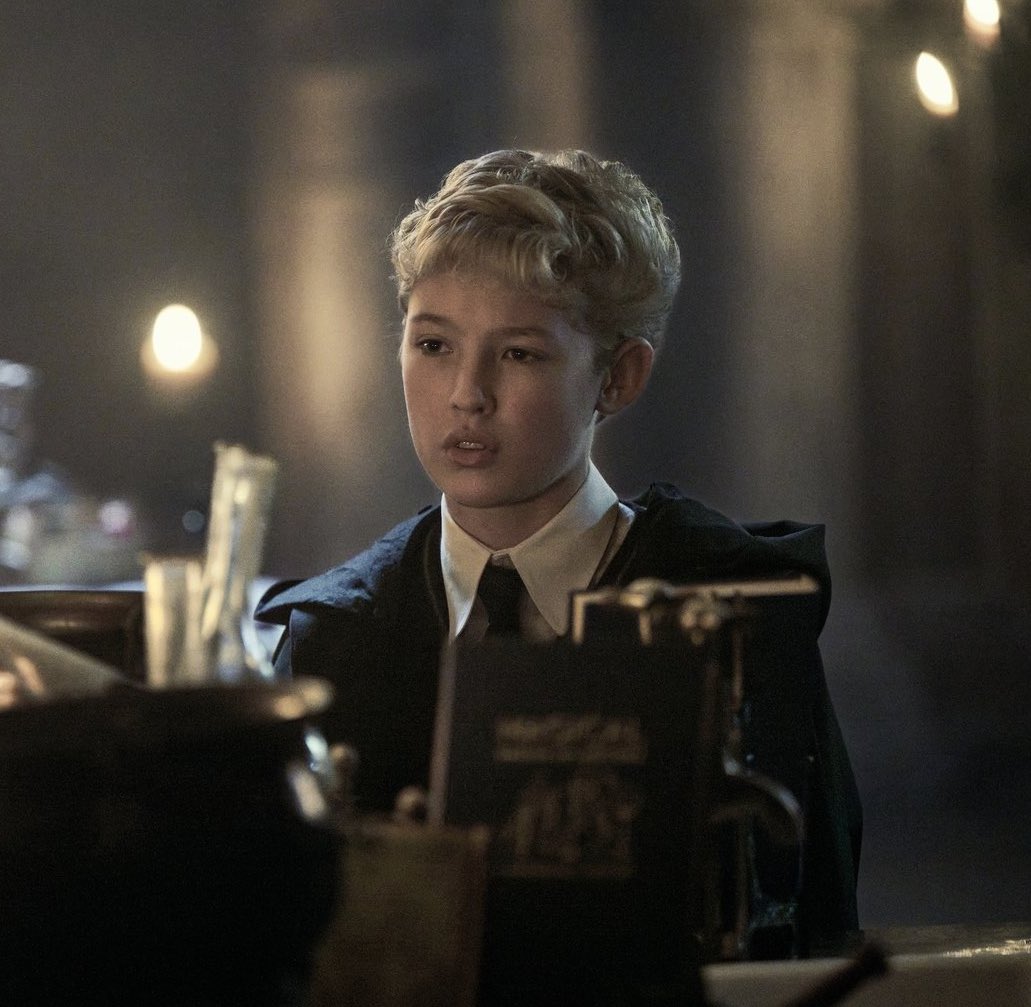 Potter Dicas tweet media