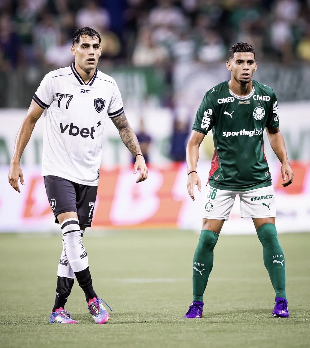 asa verde tweet media