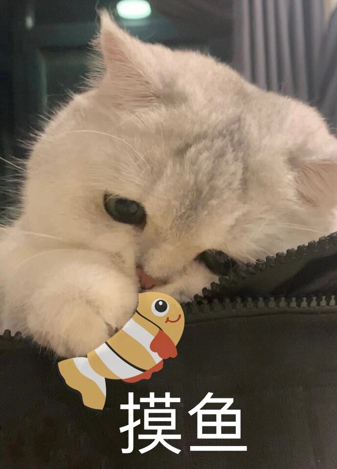 arrigo bonomi tweet media