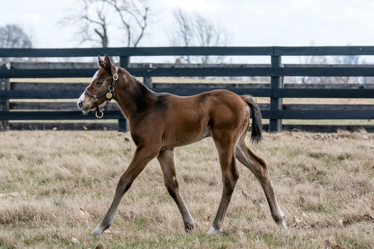 Stonestreet tweet media