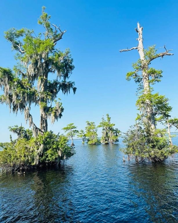 Visit Indian River tweet media