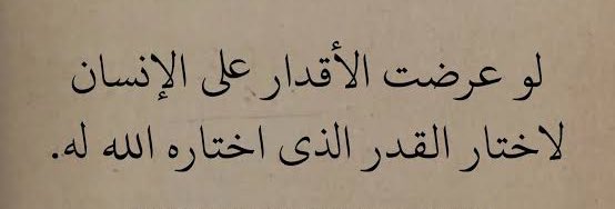 яαi∂ αℓѕнαммαяу tweet media