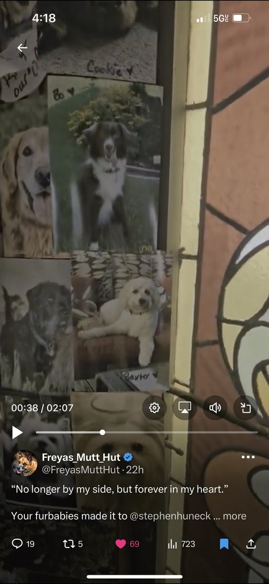 Mandy Albers (and Willow) tweet media