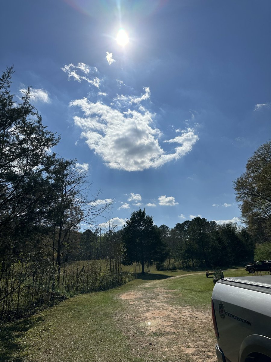 babygirl jackson tweet media