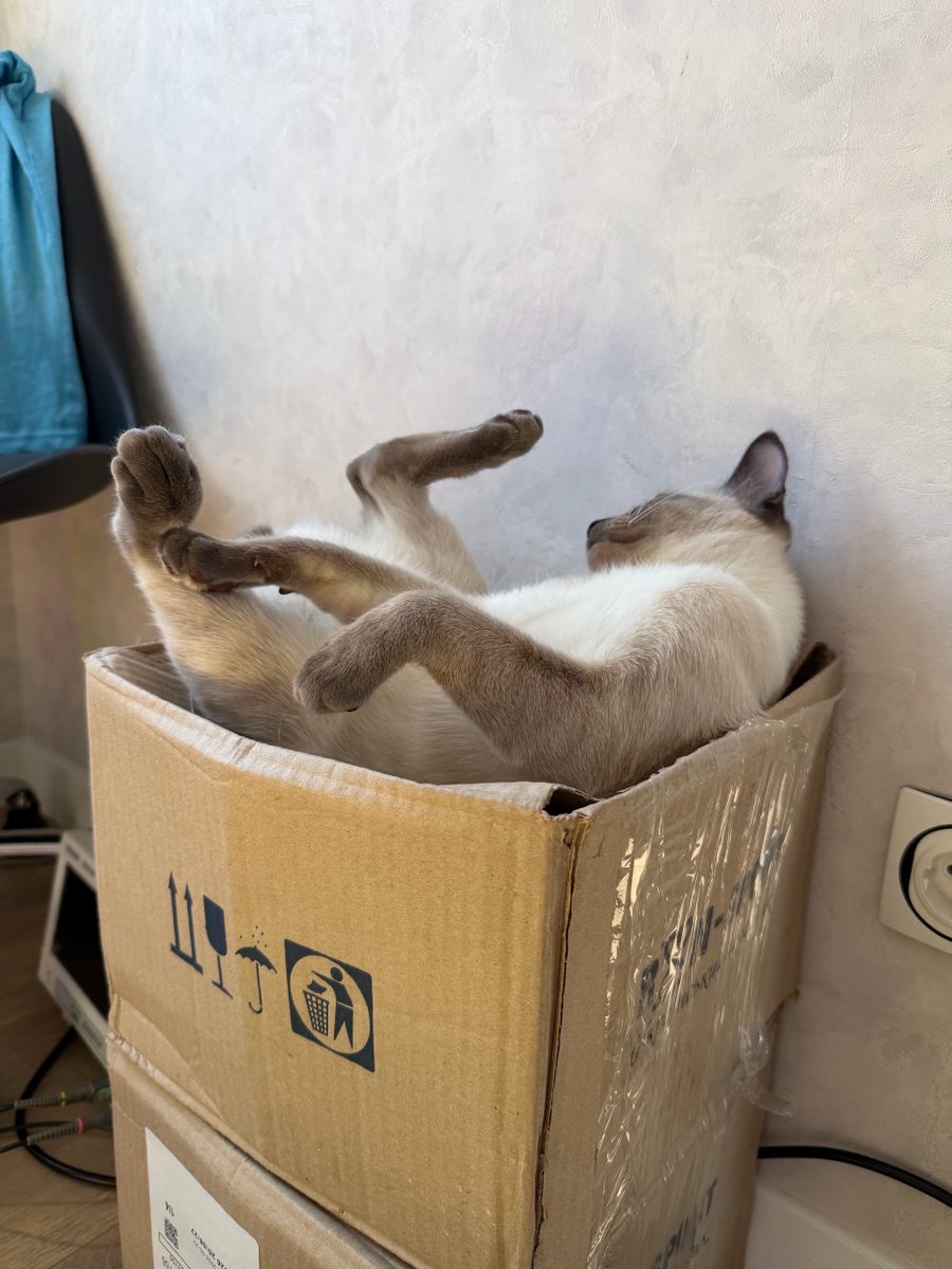 Bear mr 🏳️‍🌈🇺🇦 tweet media