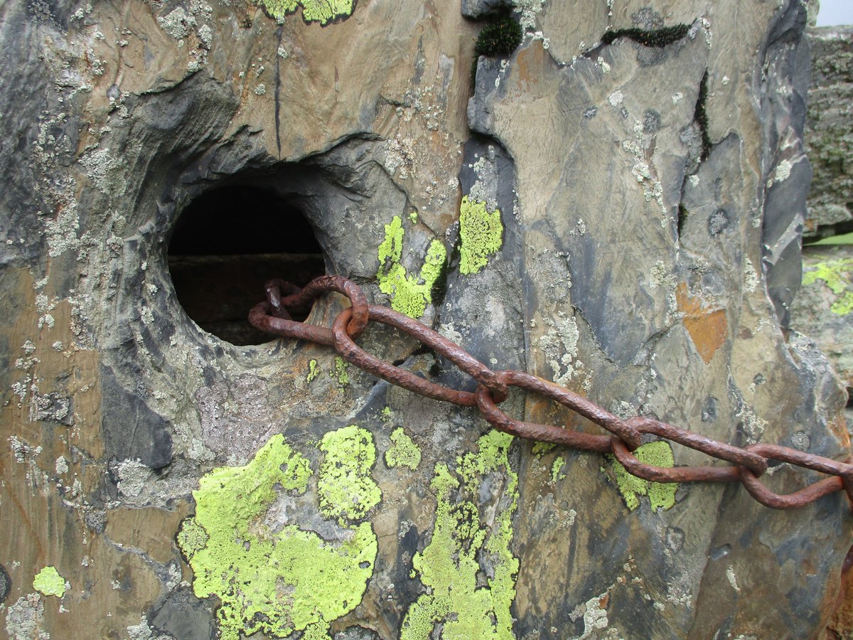 hullsaddler tweet media