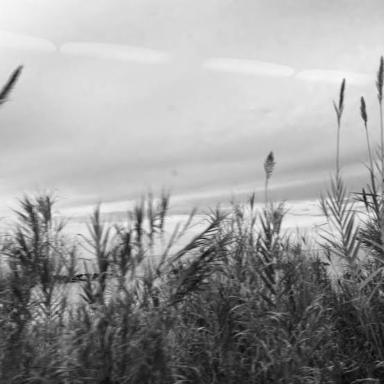 @LoryBudano2 tweet media