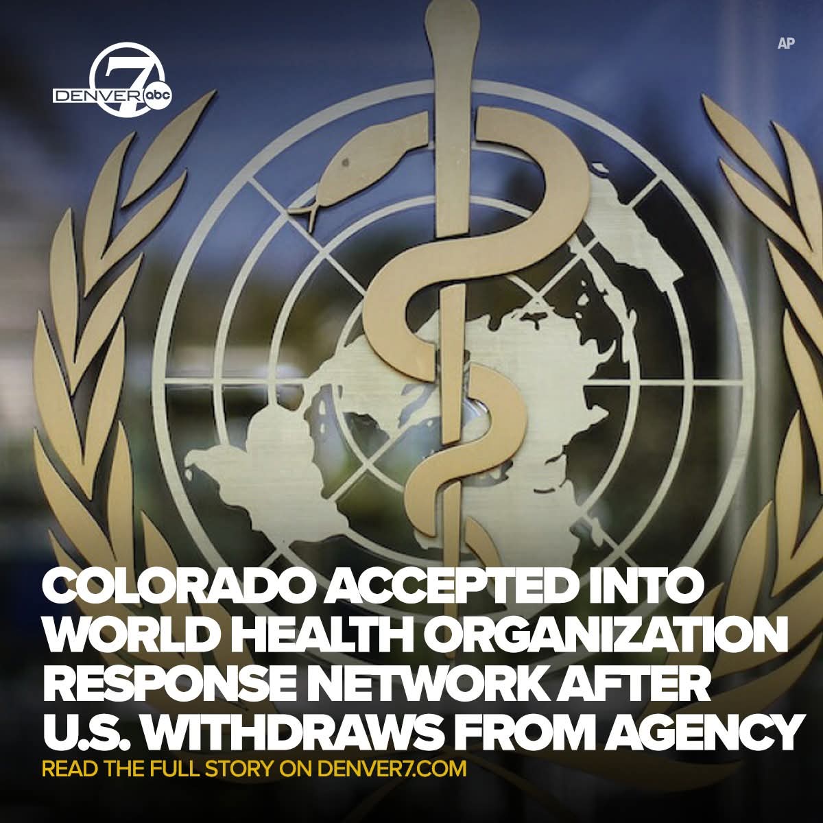 Mountain Lifeworks tweet media