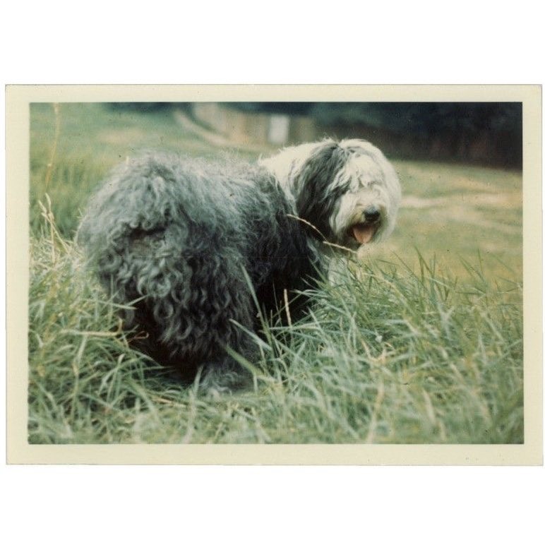 elena 𝜗𝜚 tweet media