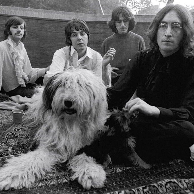 elena 𝜗𝜚 tweet media