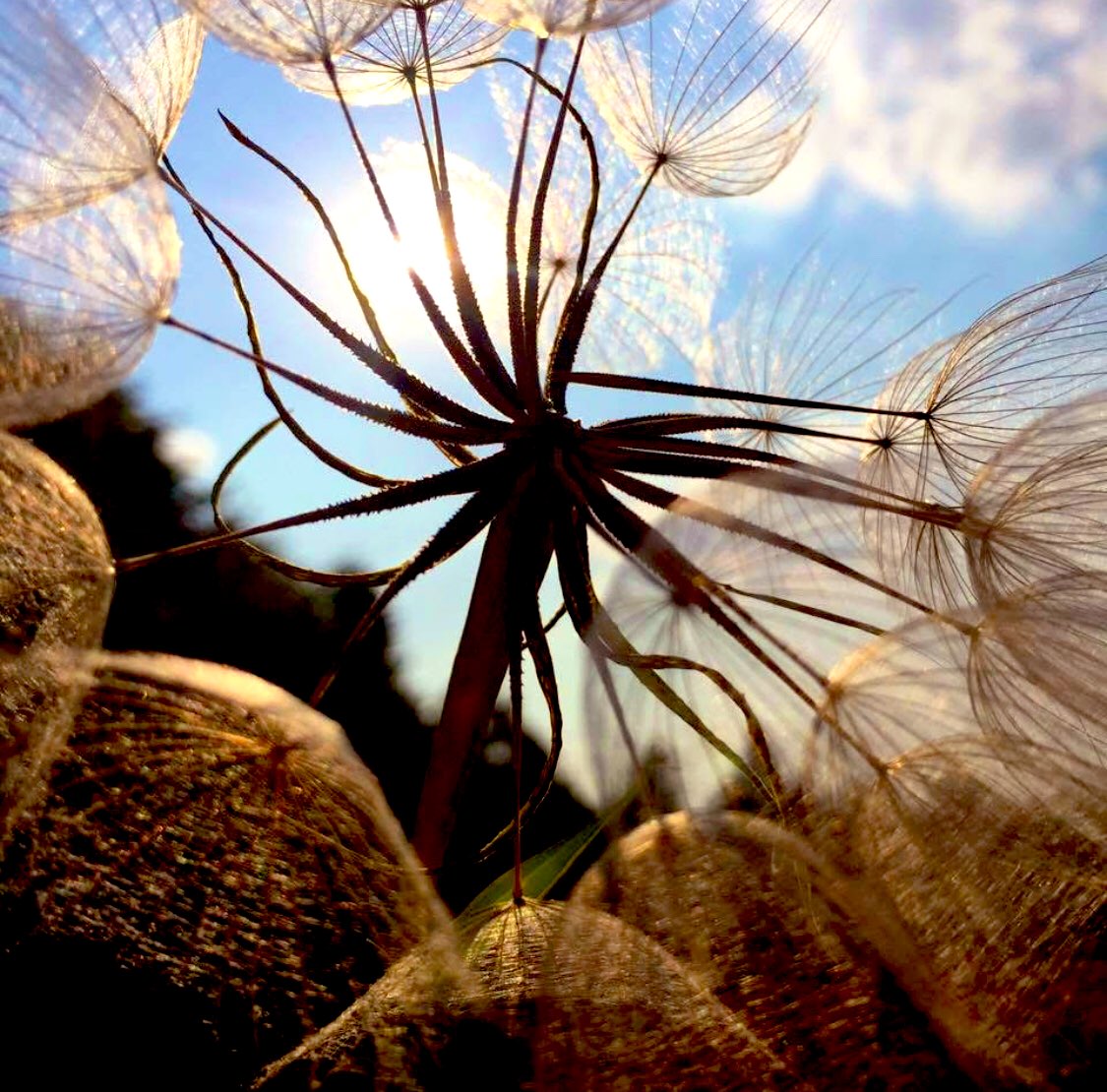 Marion Fiedler tweet media