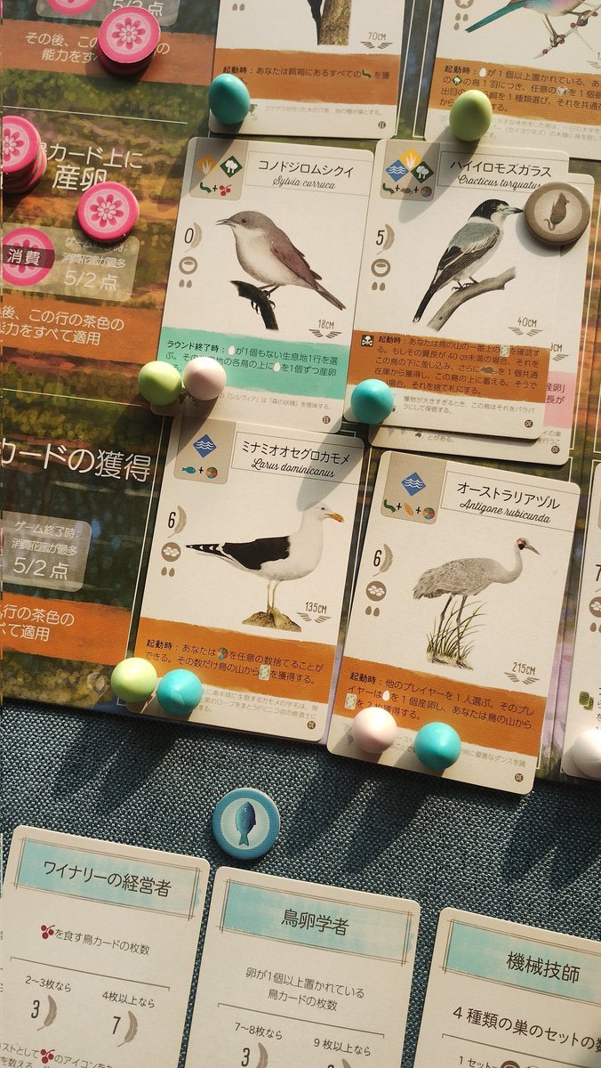 #ウイングスパン 東洋+欧州大洋ソロ(基本抜き)

◆１羽目のクマゲラが終盤まで虫を根こそぎ確保◆豊富な餌◆それを湿地のミナミオオセグロカモメがカードに変換◆草原のコノドジロムシクイがR終了ごとに産卵誘発◆R目的は3敗◆111対88で勝ち！

餌卵カード潤沢で久々のストレス無縁展開でした🦜