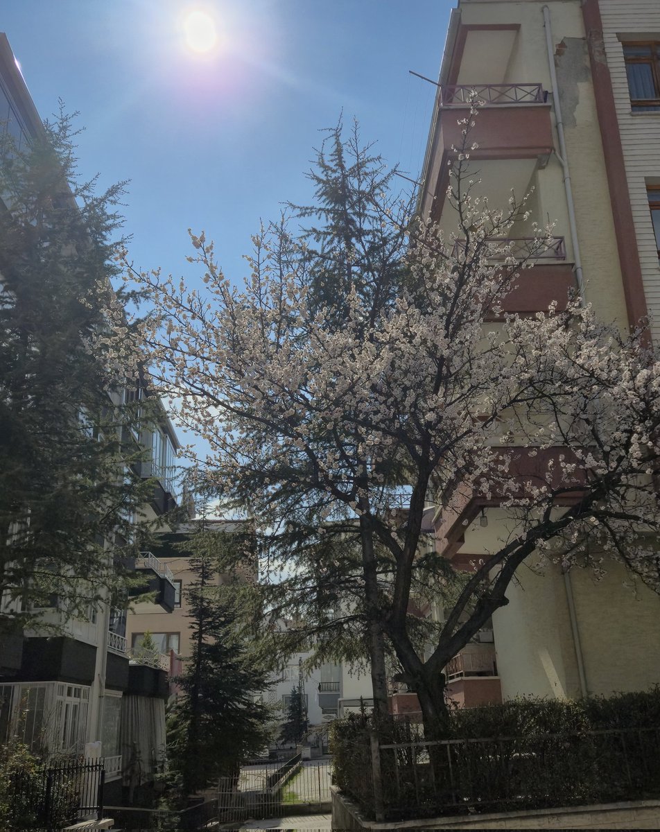 sen10_7's tweet photo. İkinci baharını bekle hayatım daha çok erkenn https://t.co/QN1ErOMBlt