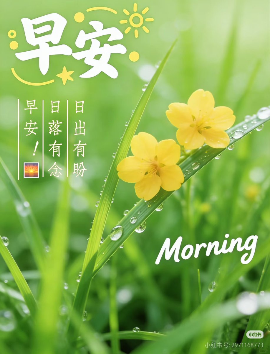 泽漆半夏 tweet media