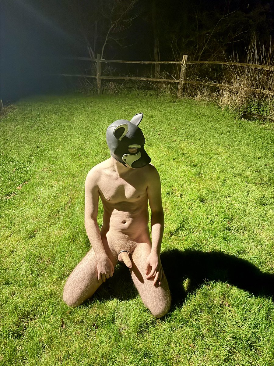 kepler 🦋 kep.dog tweet media