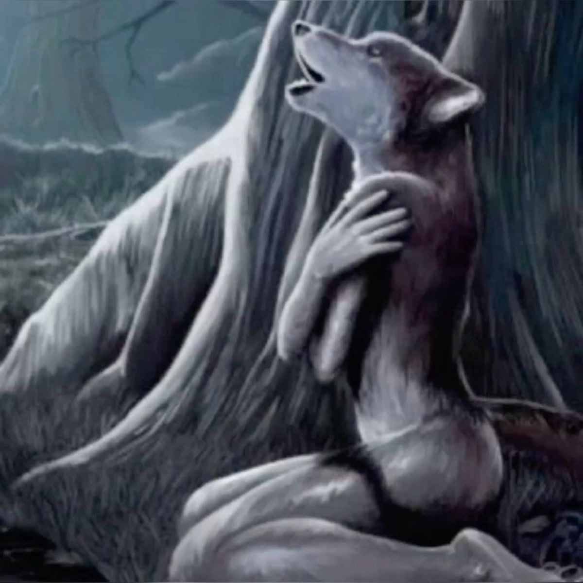 Clara ✨ tweet media