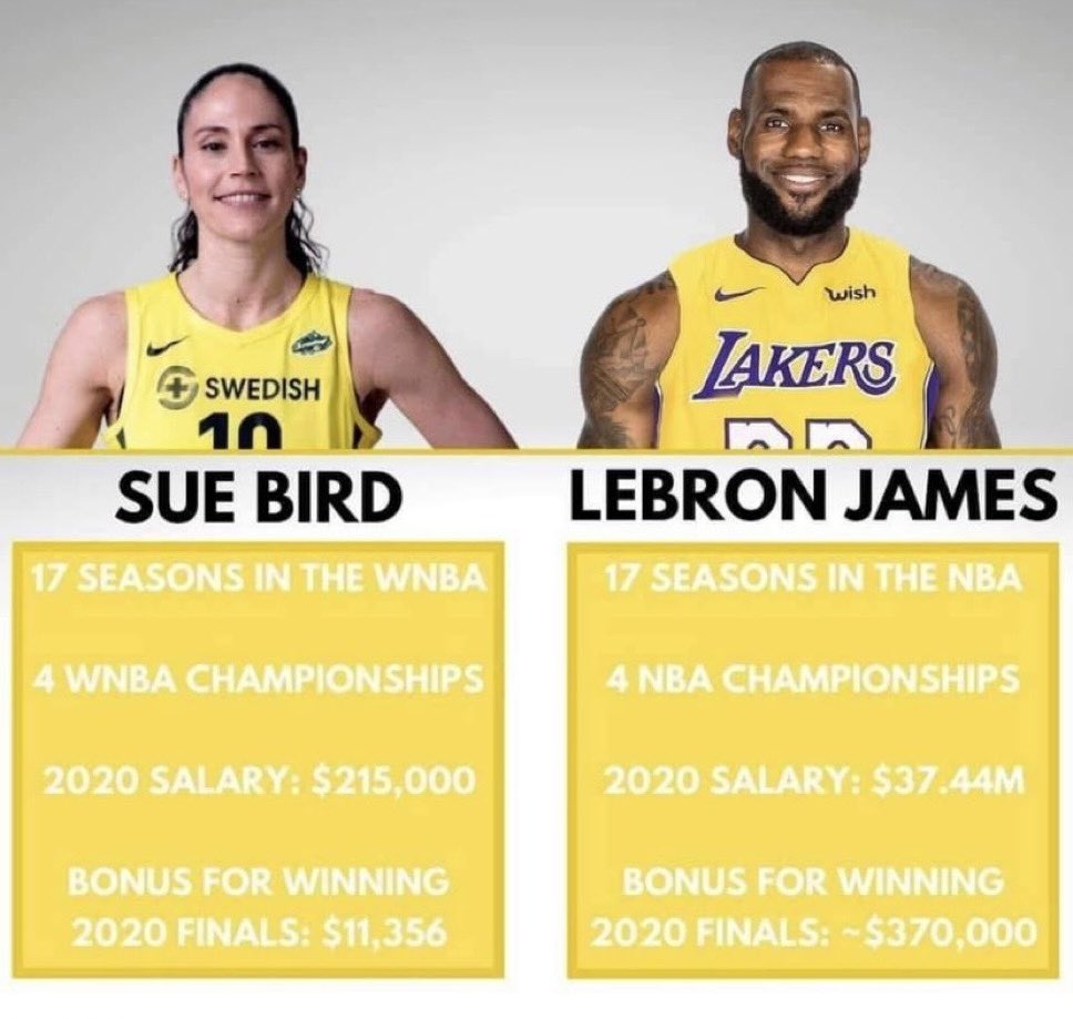 moose 🐦‍🔥 tweet media