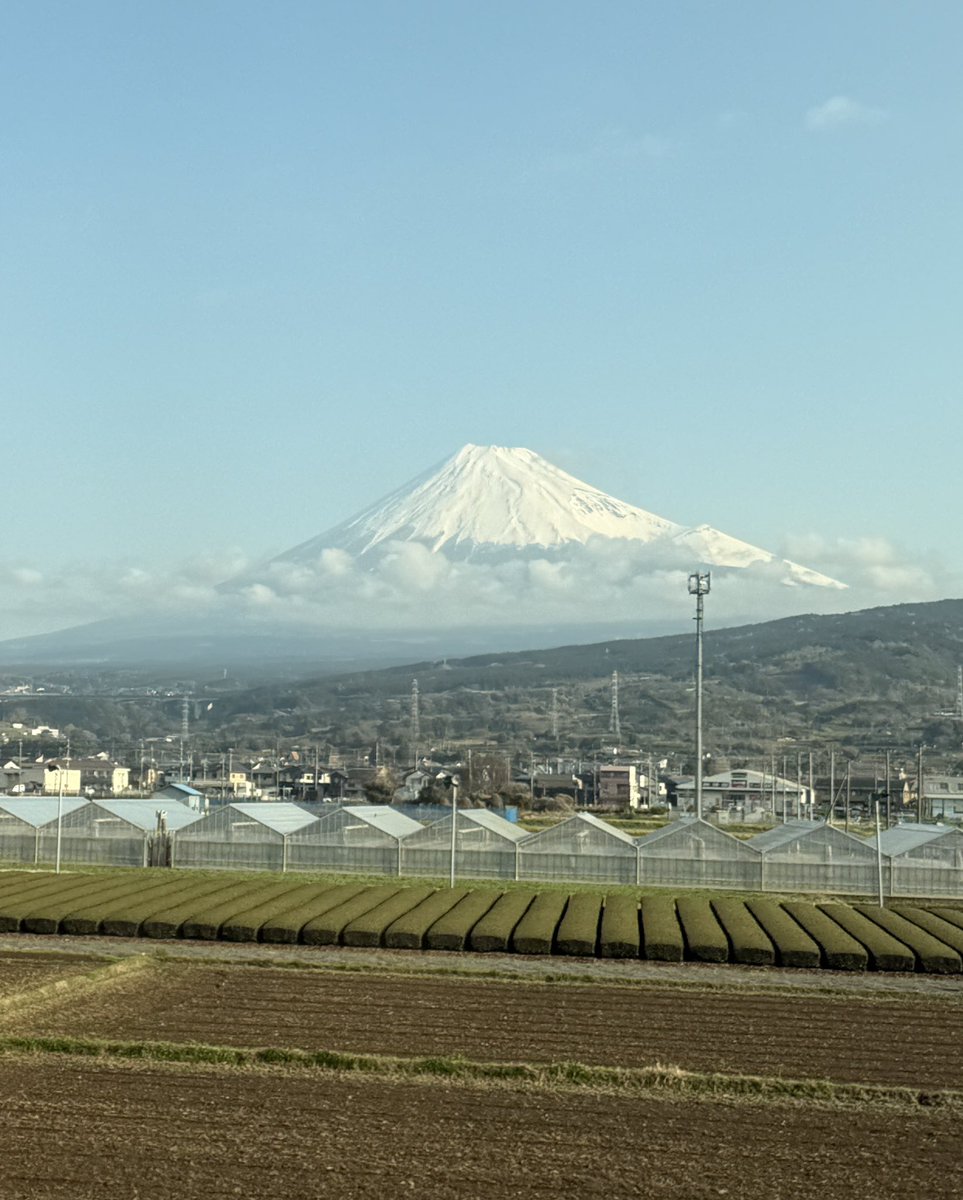 酒クズニート tweet media