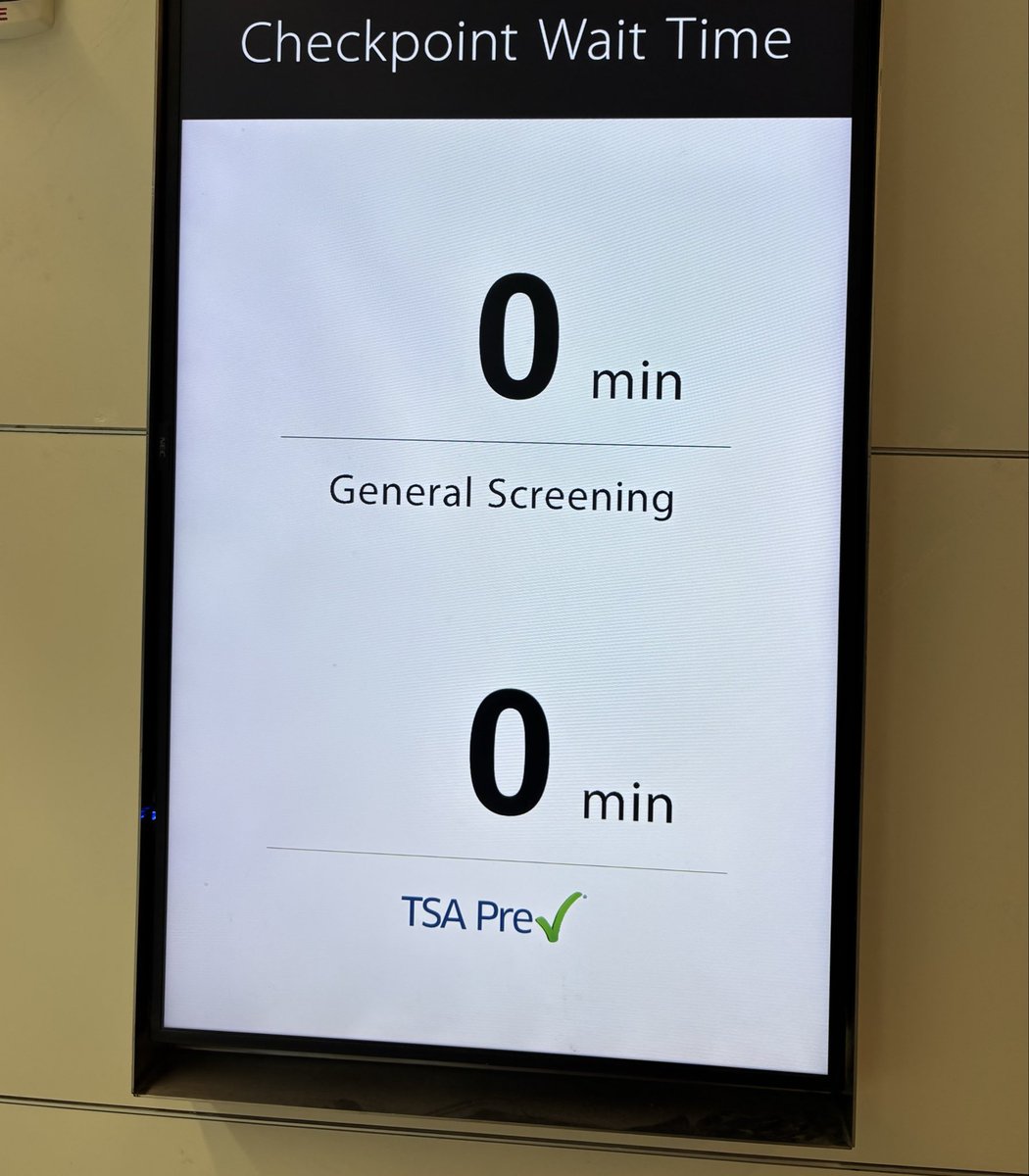 cato batato 😾 tweet media