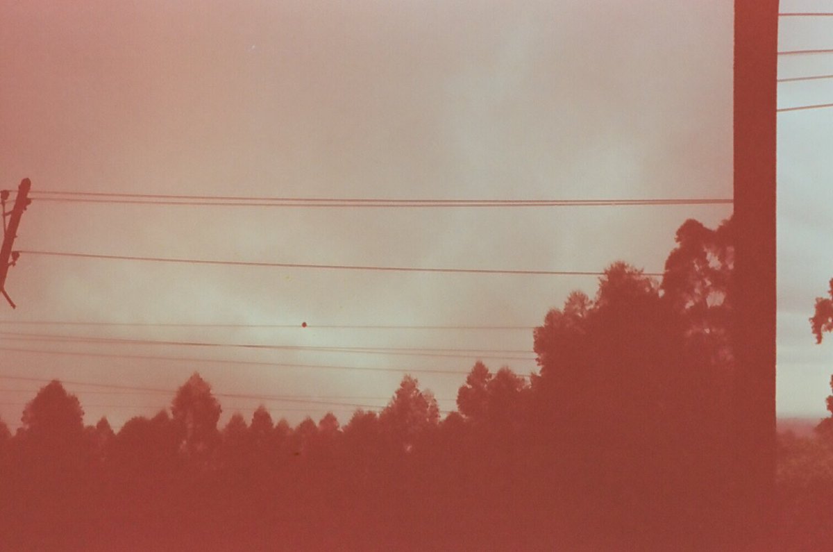 ledrew_'s tweet photo. 🐦 
Kiambu,2024.

Olympus XA2 on Expired Kodak 200.
#olympusxa2 #filmsnotdead #35mm #expiredfilm #kodak200 https://t.co/325Klu4OLI