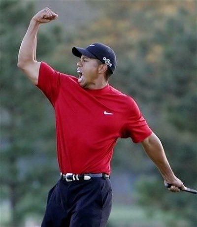joeranda16's tweet photo. THE RETURN TO GLORY!! #DUI #Hammerit #Tigerwoods https://t.co/fXQHxJiaEF