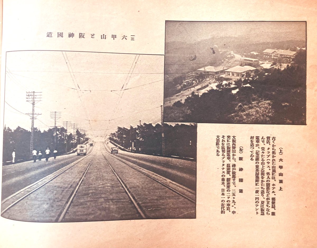 百貨店大家🕊 tweet media