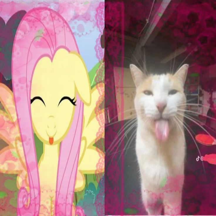 Lee 🌙 tweet media