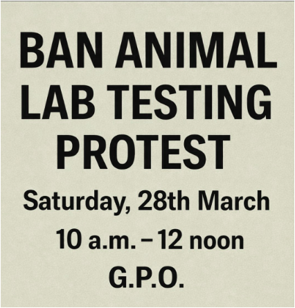 AnimalPartyIE's tweet photo. Our #BanAnimalLabTesting protest is on again tomorrow Saturday from 10am to 12 noon at the #GPO #DublinCentral. Please come along and support this protest. We need volunteers to help encourage passer-byers to sign the petition. If even if you can only volunteer for 20 minutes https://t.co/RraeJZ6K2s