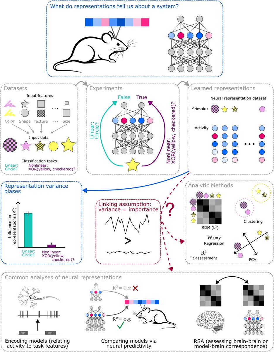 #eNeuro: Computational neuroscientists often attempt to understand the brain using analyses that assume stronger neural signals are more important to the system. This work challenges that core assumption.
doi.org/10.1523/ENEURO…