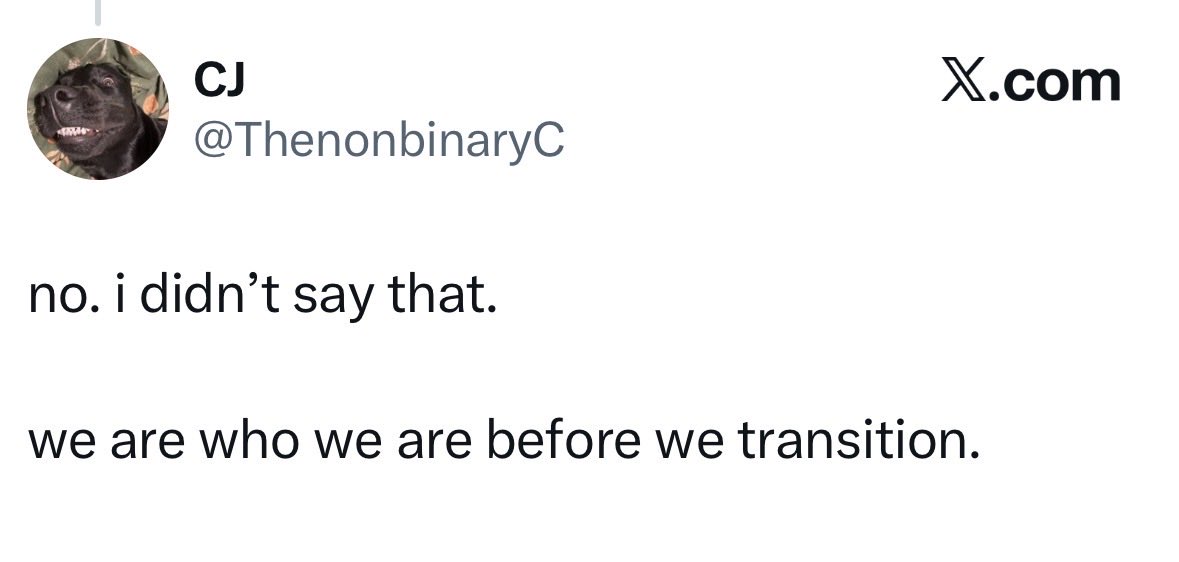 Robin Alley tweet media