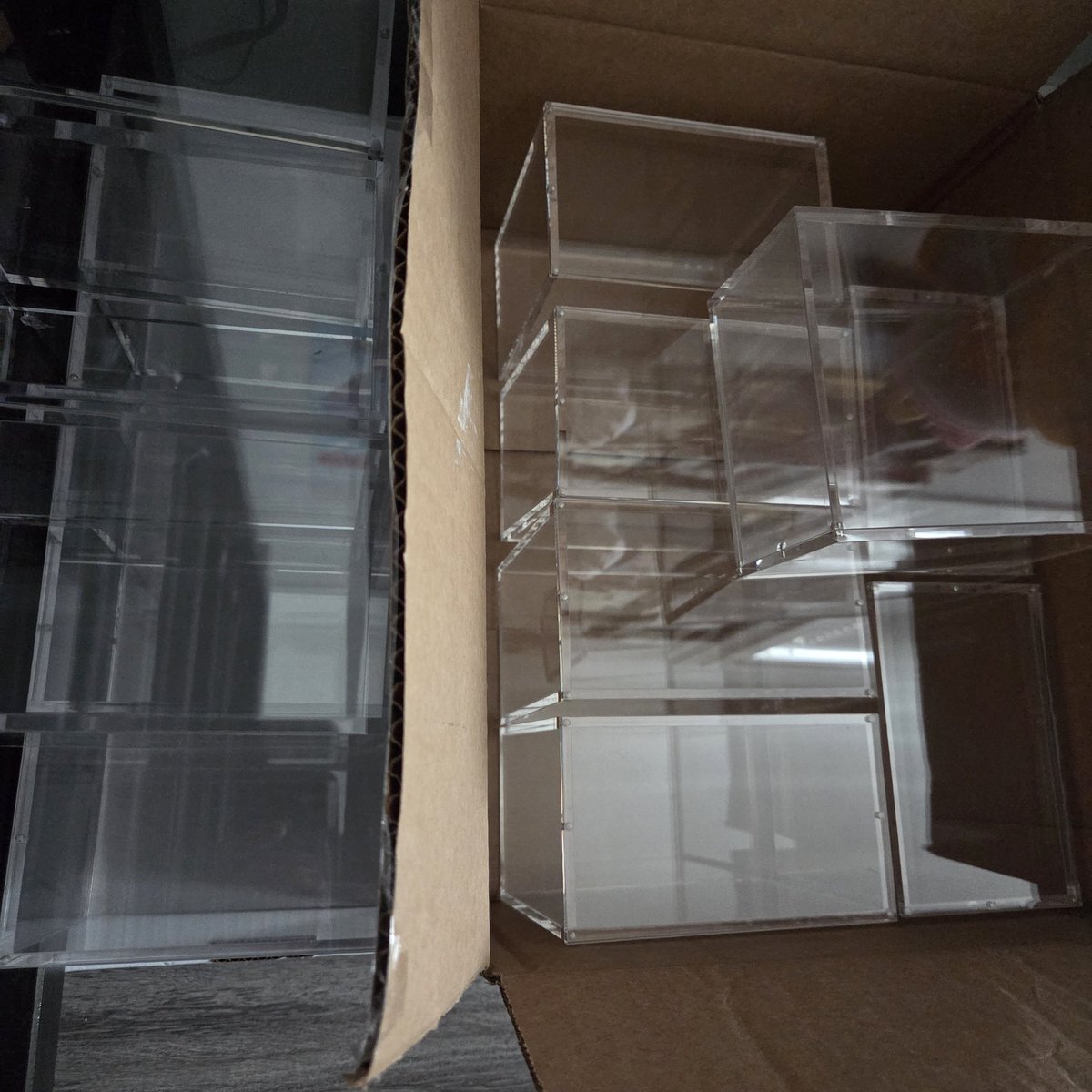 Kohai 🐶 Dog VTuber 💜✨️ tweet media