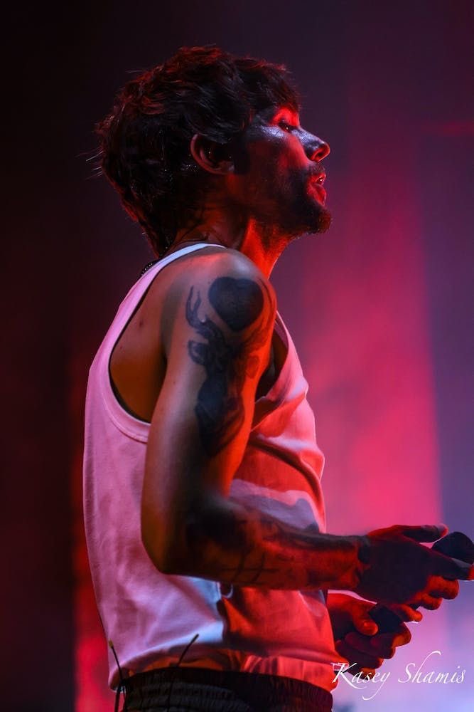 Dom Louis Fic Fest tweet media