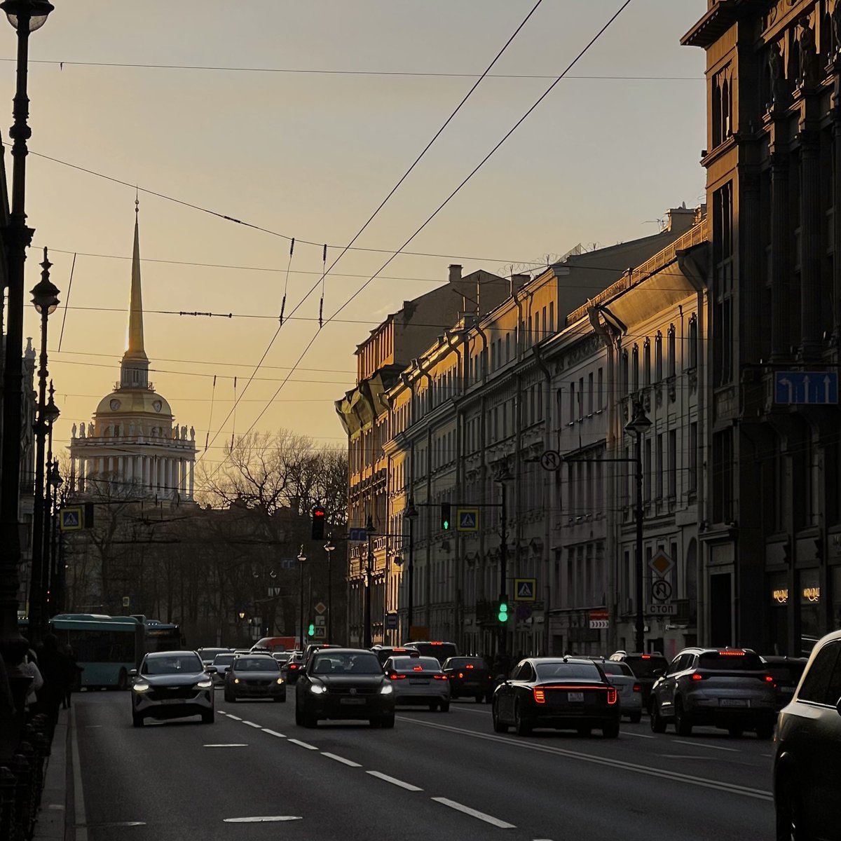 марлинская tweet media