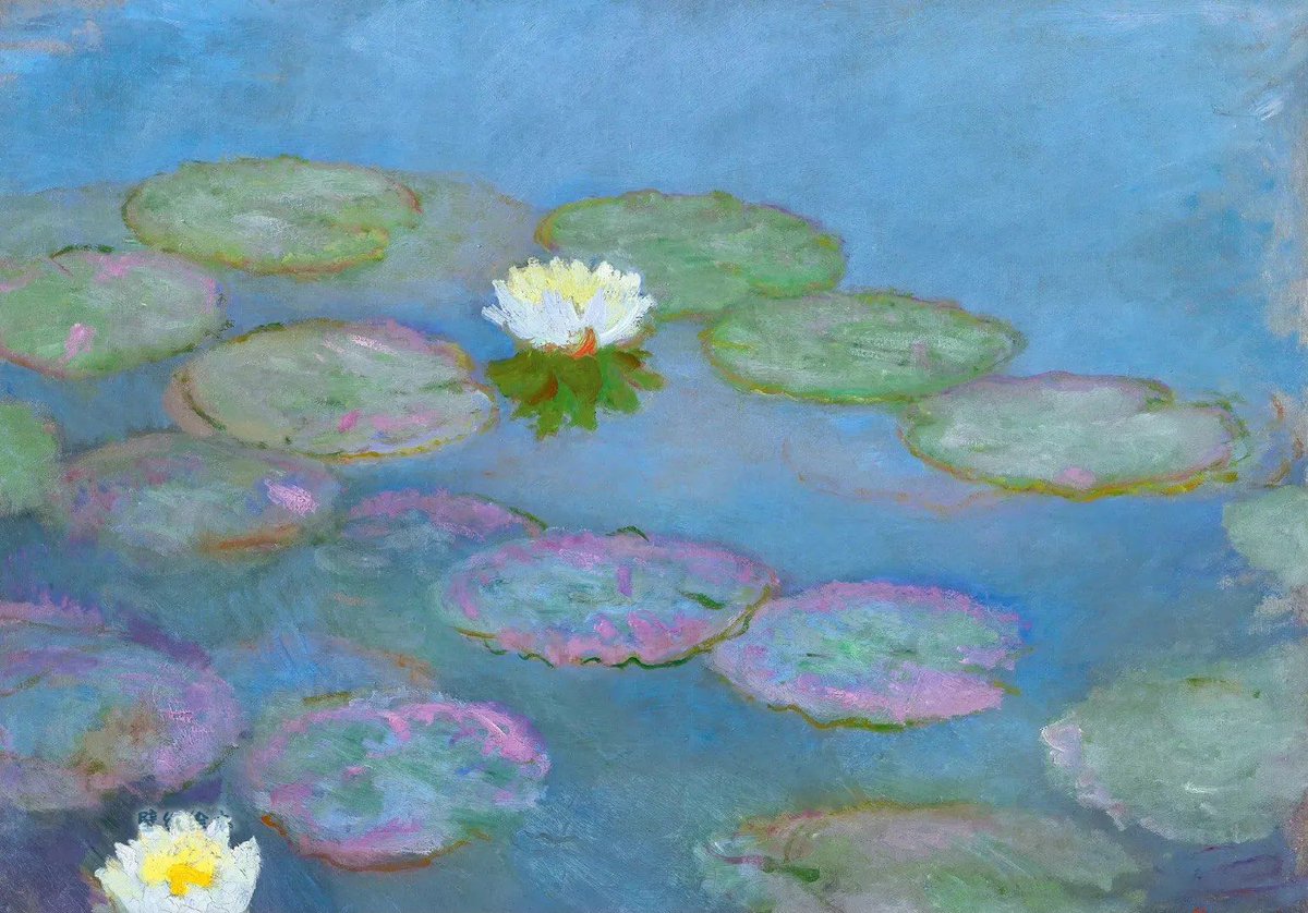 Kaysy Anderson tweet media