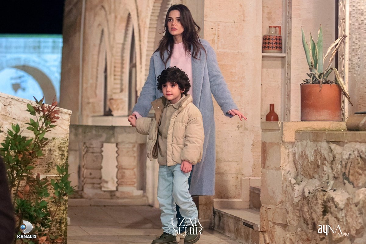 d.✨️ tweet media