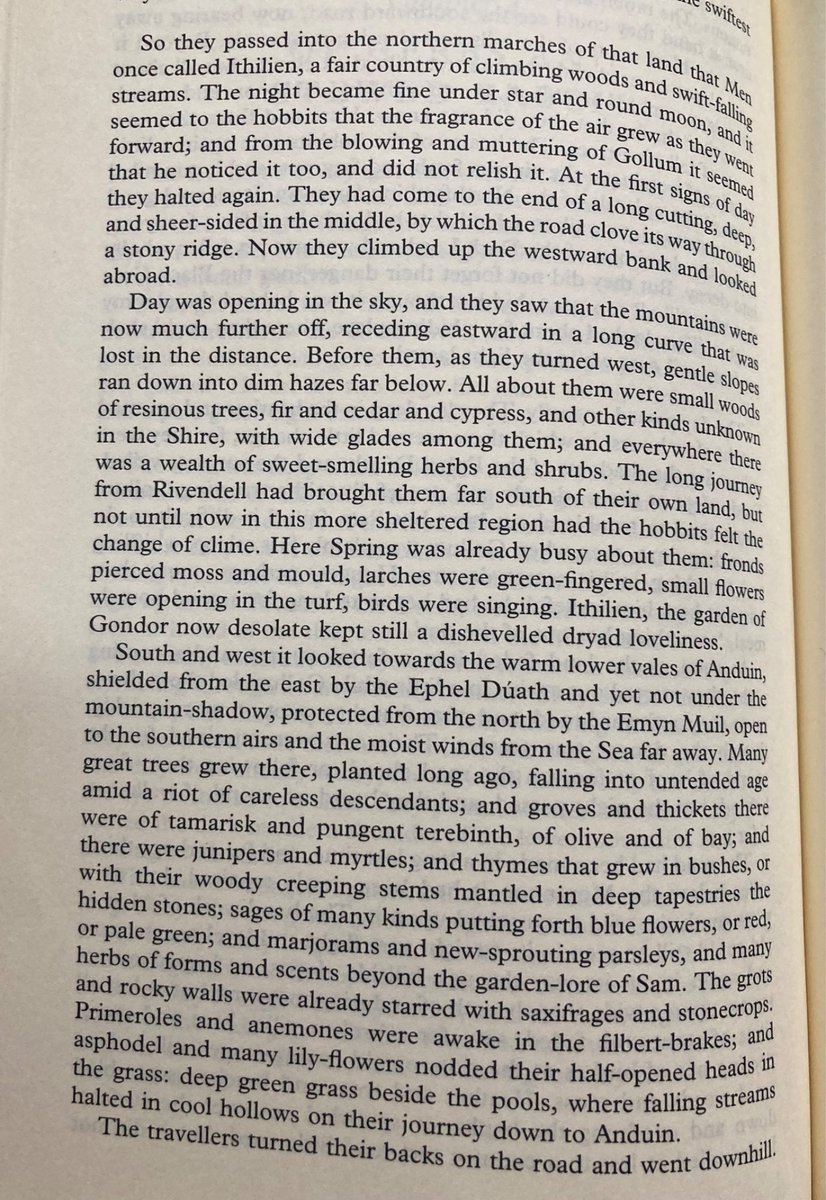 Aedan Mac Lir tweet media