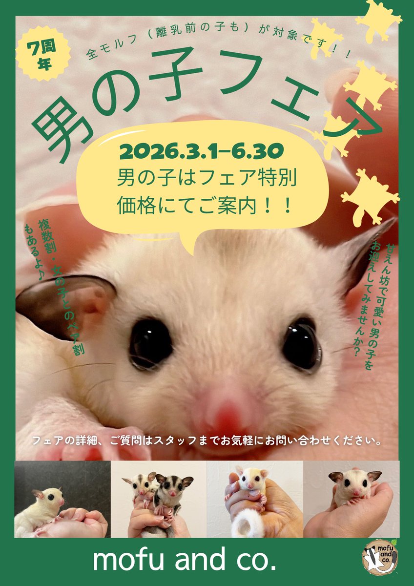 mofu and co. tweet media