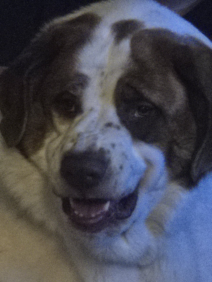 ☾ ● ジェイ ●☽ tweet media