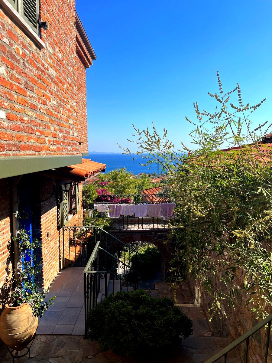 Asmînveben tweet media