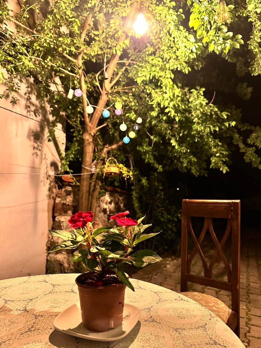 Asmînveben tweet media