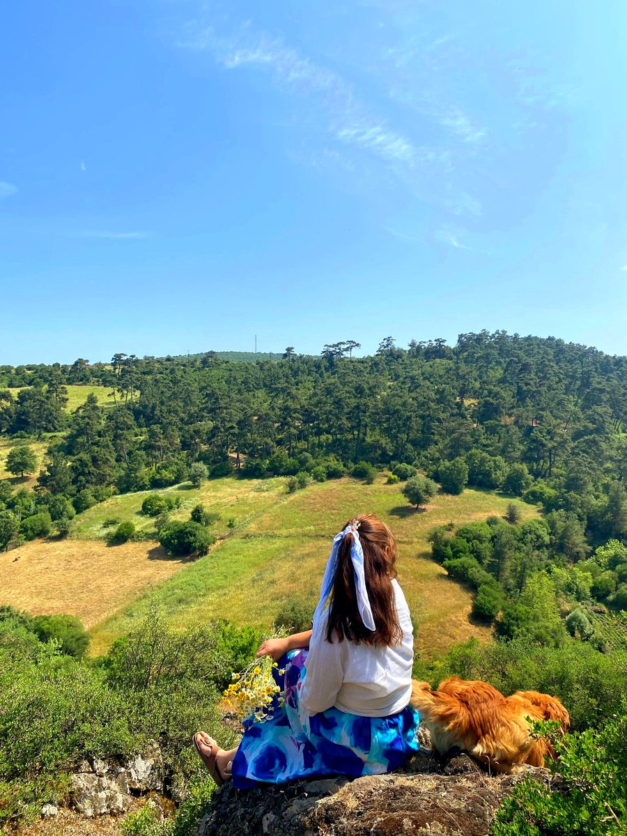 Asmînveben tweet media