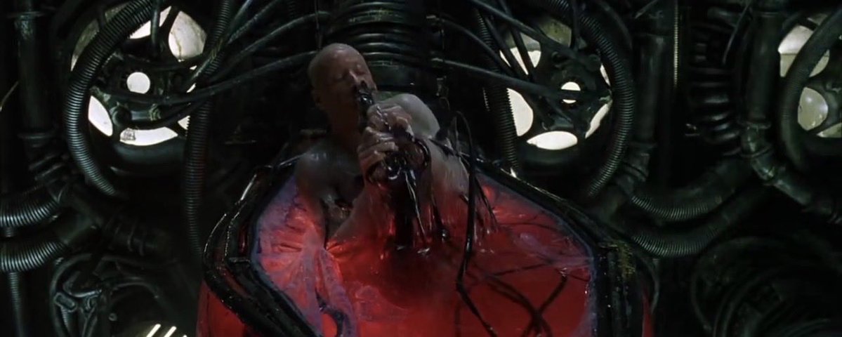 Le ₿unker 🪖 tweet media