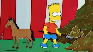 🦋🌸 Ani 🌸🦋 tweet media